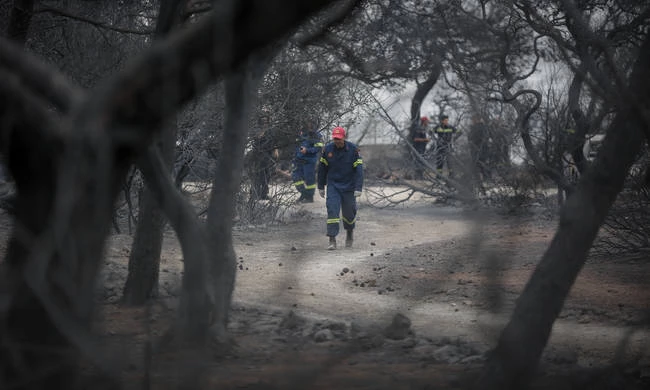 Ελπίδα στο Μάτι: Ζωντανή βρέθηκε μητέρα και τα 3 της παιδιά που αγνοούνταν!